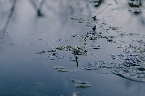 gestion-des-eaux-pluviales gestion-des-eaux-pluviales